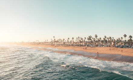 Cultural Debates Today: Navigating Complex Conversations