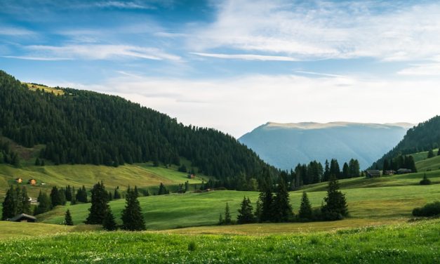 Legal Analysis: Recent Events in the Courts