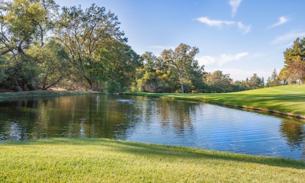 Challenges in the Education System: Addressing the Issues