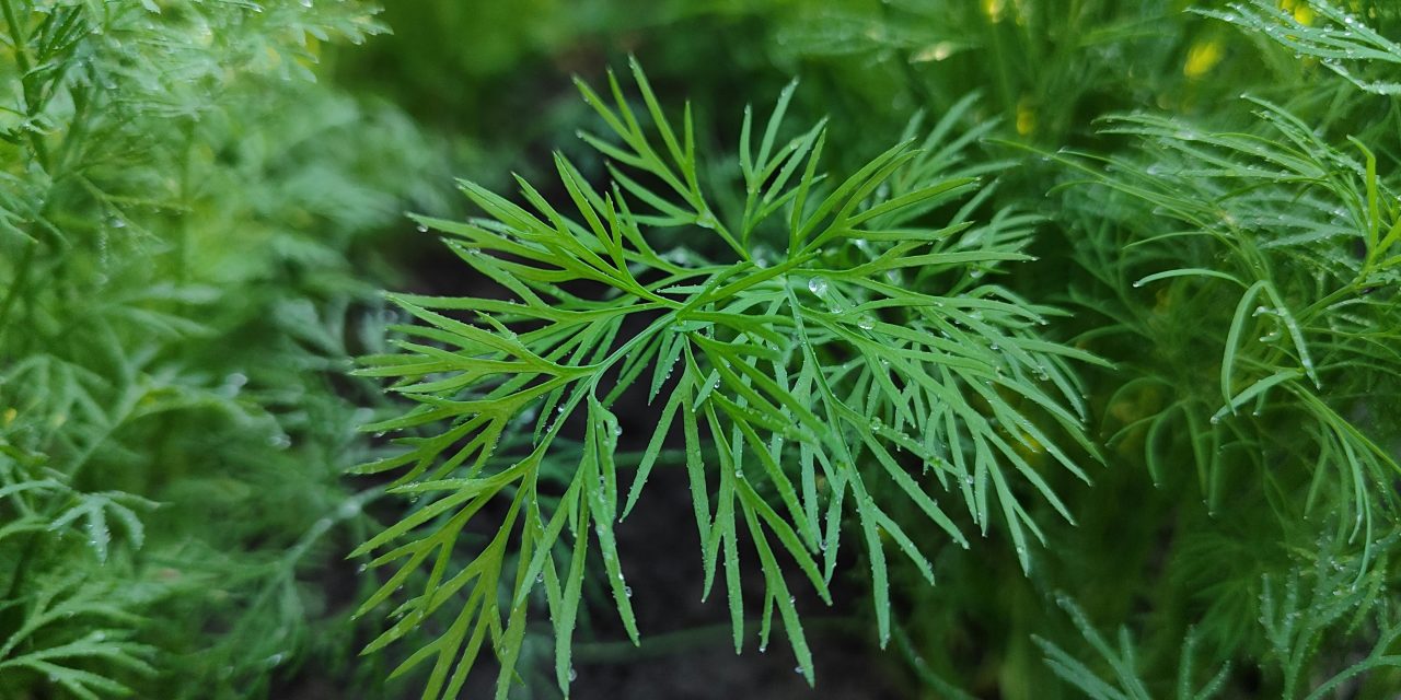 Unlocking the Mystery of Natural Flavors