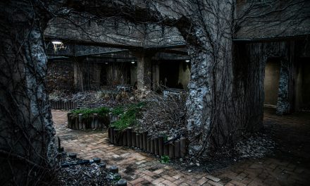 Iran Retaliates with Military Strikes