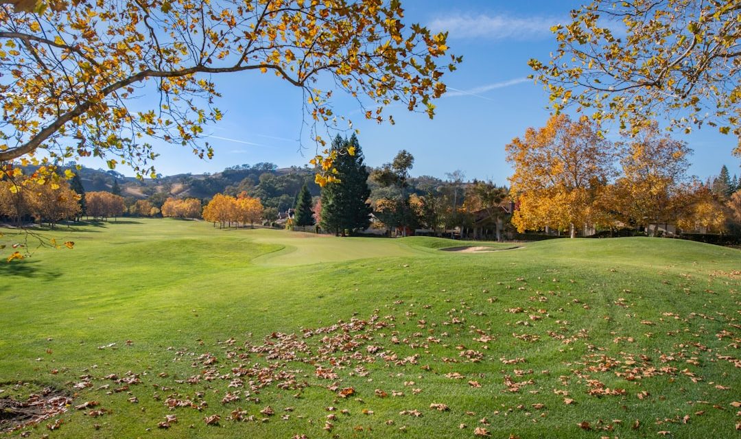 Strait of Hormuz Reopens: Global Shipping Resumes