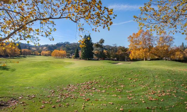 Strait of Hormuz Reopens: Global Shipping Resumes