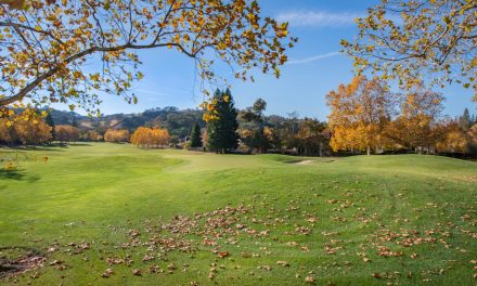 Strait of Hormuz Reopens: Global Trade Resumes