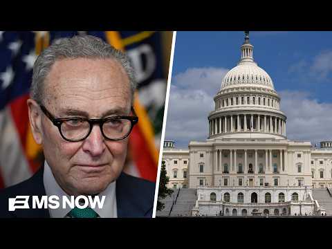 Competitive Senate Landscape: Democrats Eye Midterms