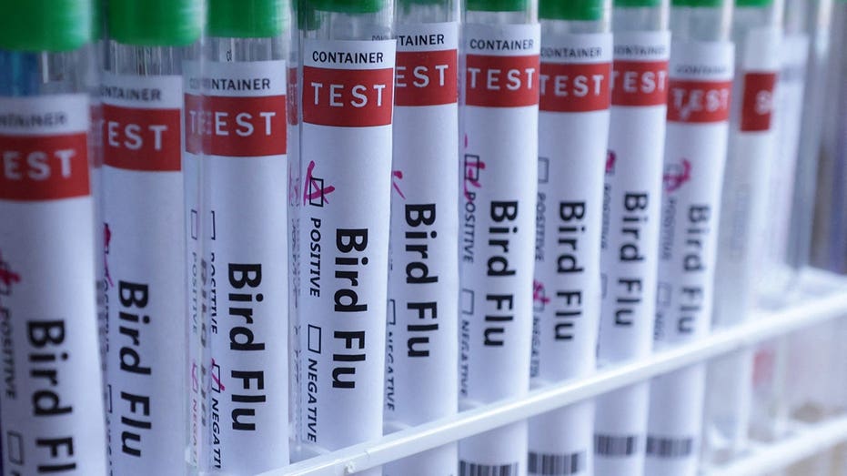 H5N1 Bird Flu Reaches Australia: Implications and Concerns