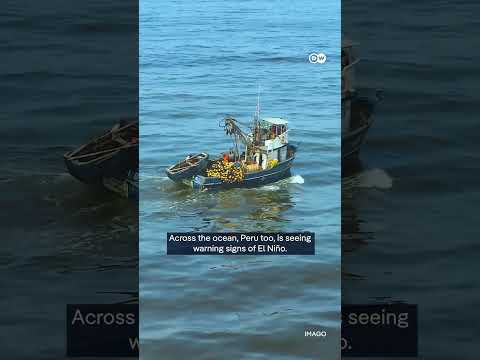 Impact of El Niño on the Global Economy | DW News