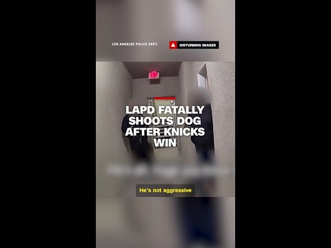 LAPD Shoots Dog After Knicks NBA Finals Celebration