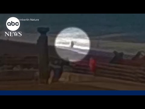 Beware Dangerous Sneaker Waves in California