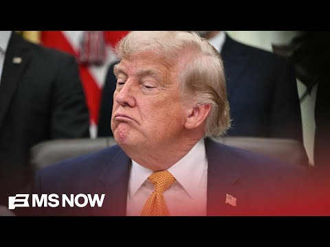 Alex Wagner Critiques Trump’s ‘Clownish’ Administration