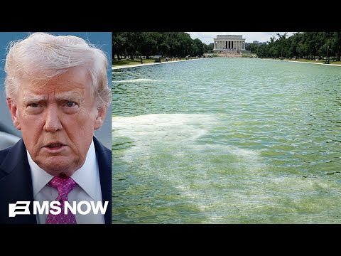 McKinnon Critiques Trump’s Focus on Reflecting Pool