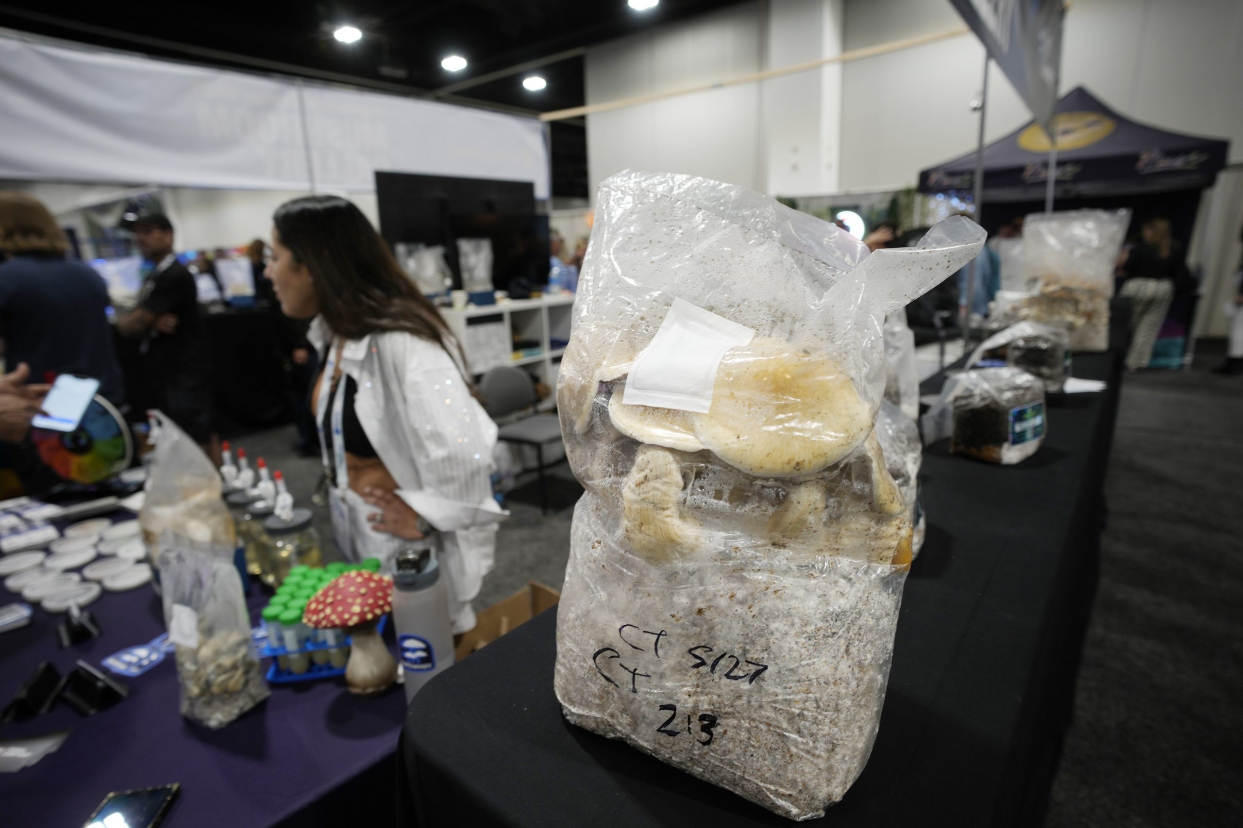 Nearly 5 Million Veterans Use Psychedelics, Study Reveals