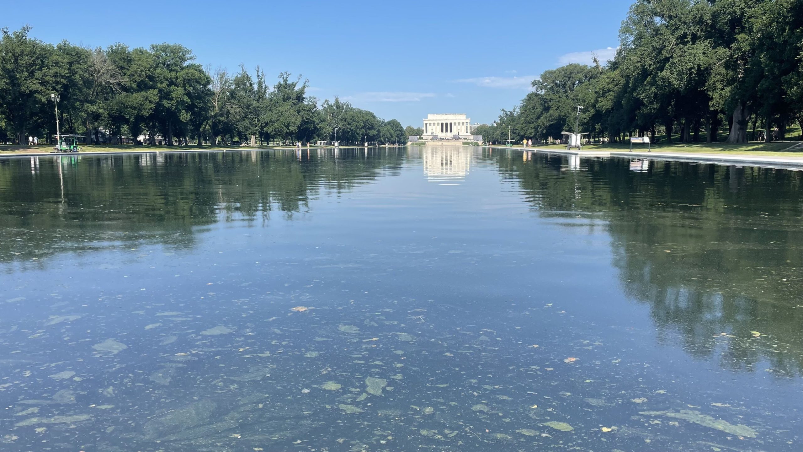 Algae Returns to Reflecting Pool After Major Renovations
