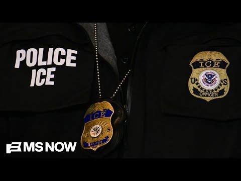Judge Blocks ICE Arrests in Immigration Courts Nationwide