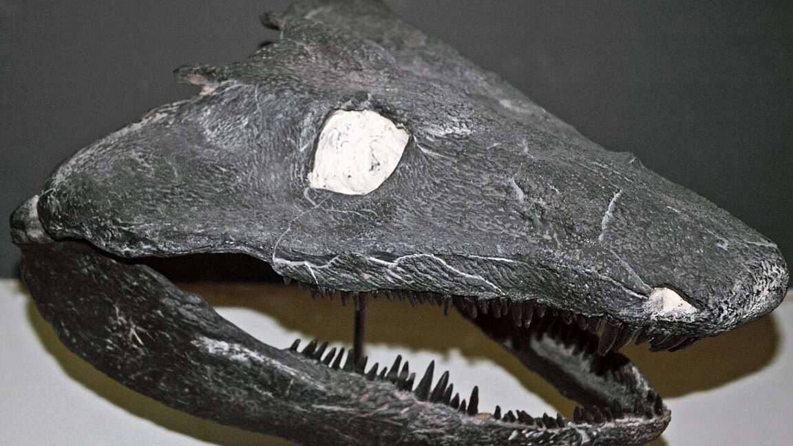 Early Land Animals Avoided Tadpole Phase