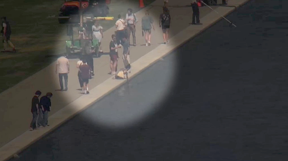 Help Identify Woman in Reflecting Pool Damage Case