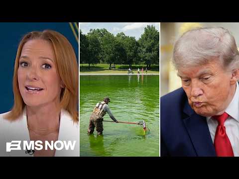 Trump’s Green Pool Goop Linked to UFC Birthday Bash