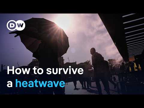 Europe Faces Deadly Heat: Lessons for Next Summer
