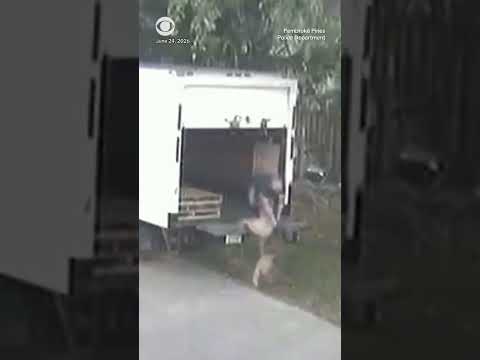 Man Arrested for Abandoning Elderly Dog in Florida