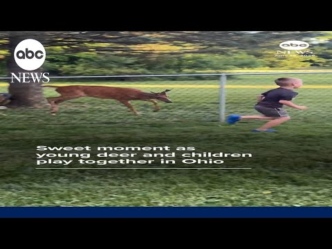 Children’s Sweet Bond with Wild Deer in Ohio