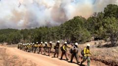 Firefighters Die in Colorado-Utah Wildfire Battle