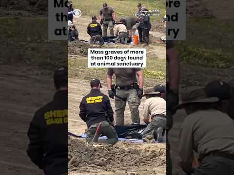 Mass Graves of 100+ Dogs Discovered at Sanctuary