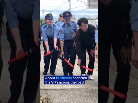 Japanese Police Rescue Duck Family: Heartwarming Moment