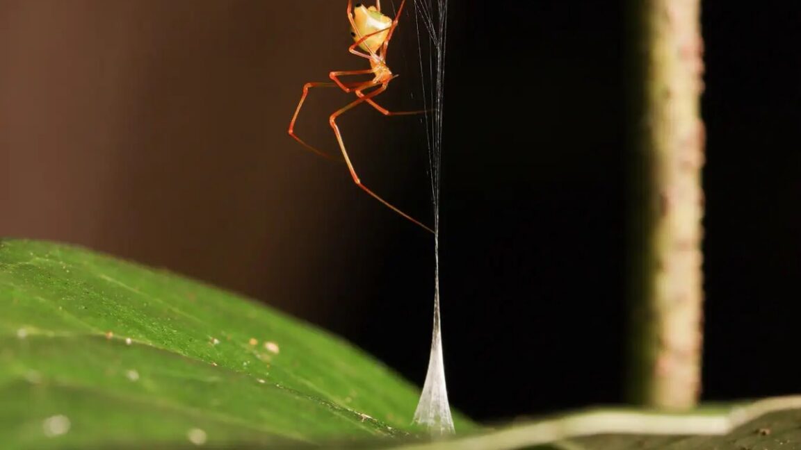 June Research Roundup: 6 Exciting Science Discoveries