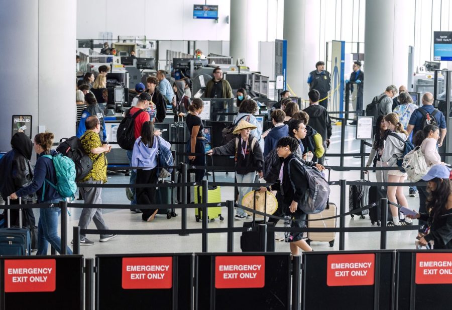 TSA Gold+ Program: Elevating Airport Security & Experience