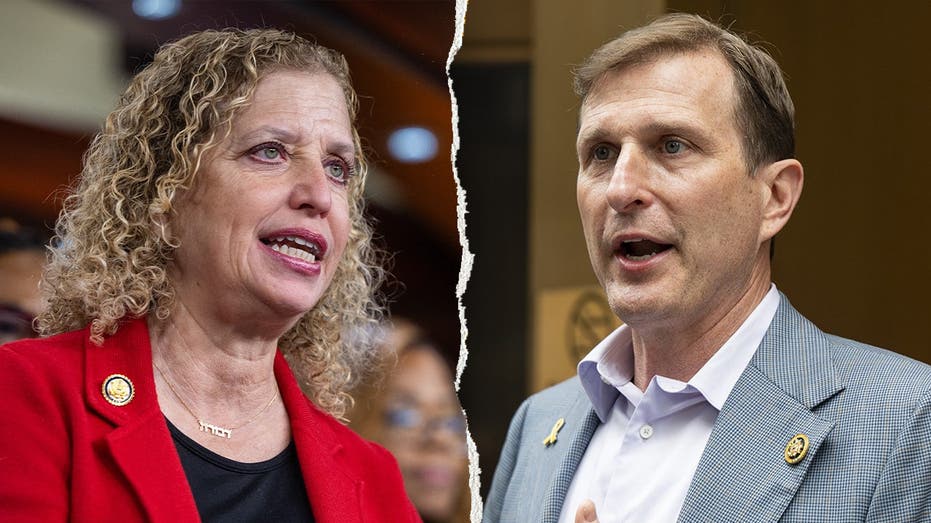 Democrats Face Anti-Incumbent Wave in Key Primaries