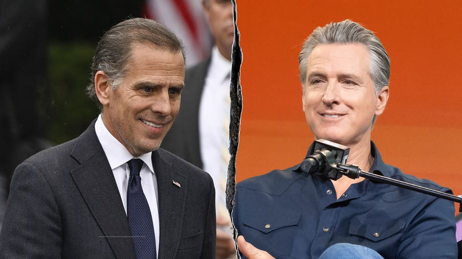 Biden and Newsom Compared to Ninja Turtles on CNN