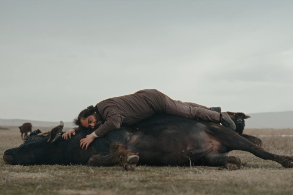 Banu Sıvacı’s ‘Hear the Yellow’ Dominates Taormina Fest