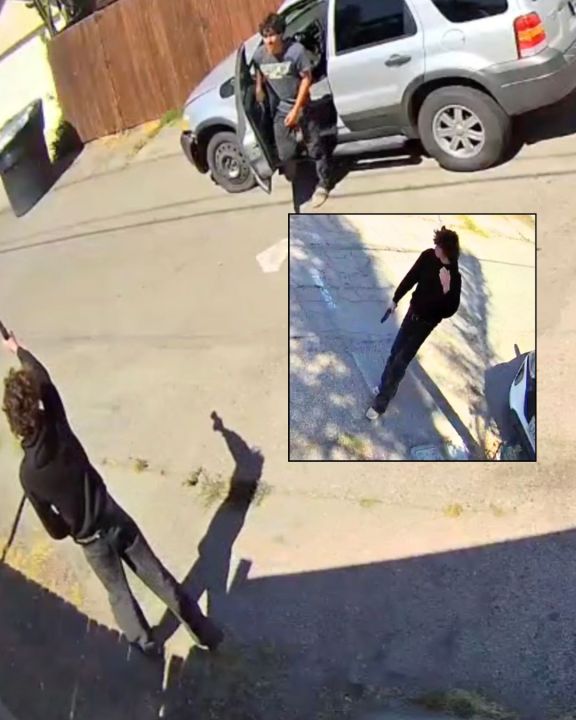 Gunfire in Torrance Alleyway: 1 Detained