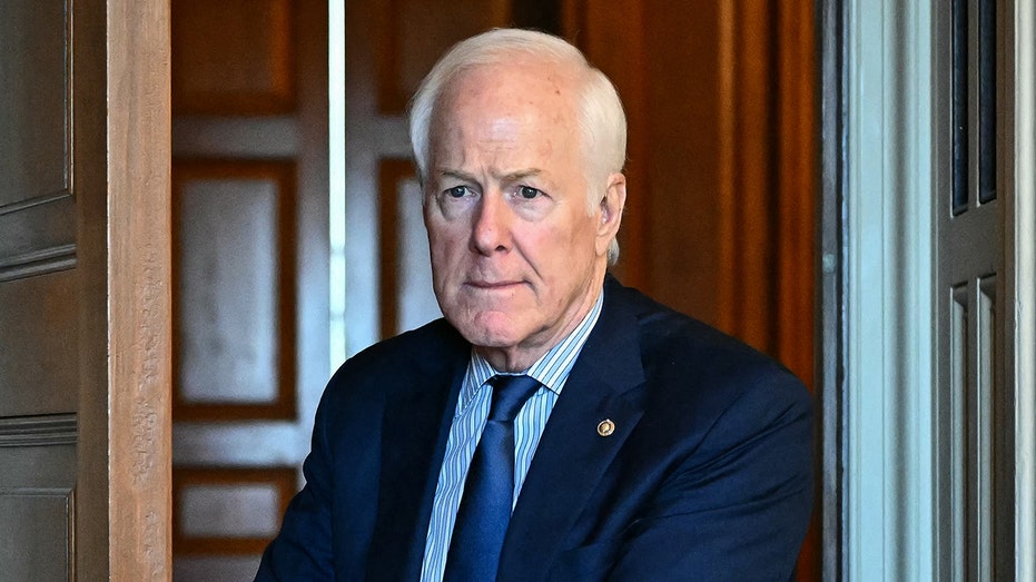 Cornyn Predicts Trump Faces Midterm Disaster in 2026