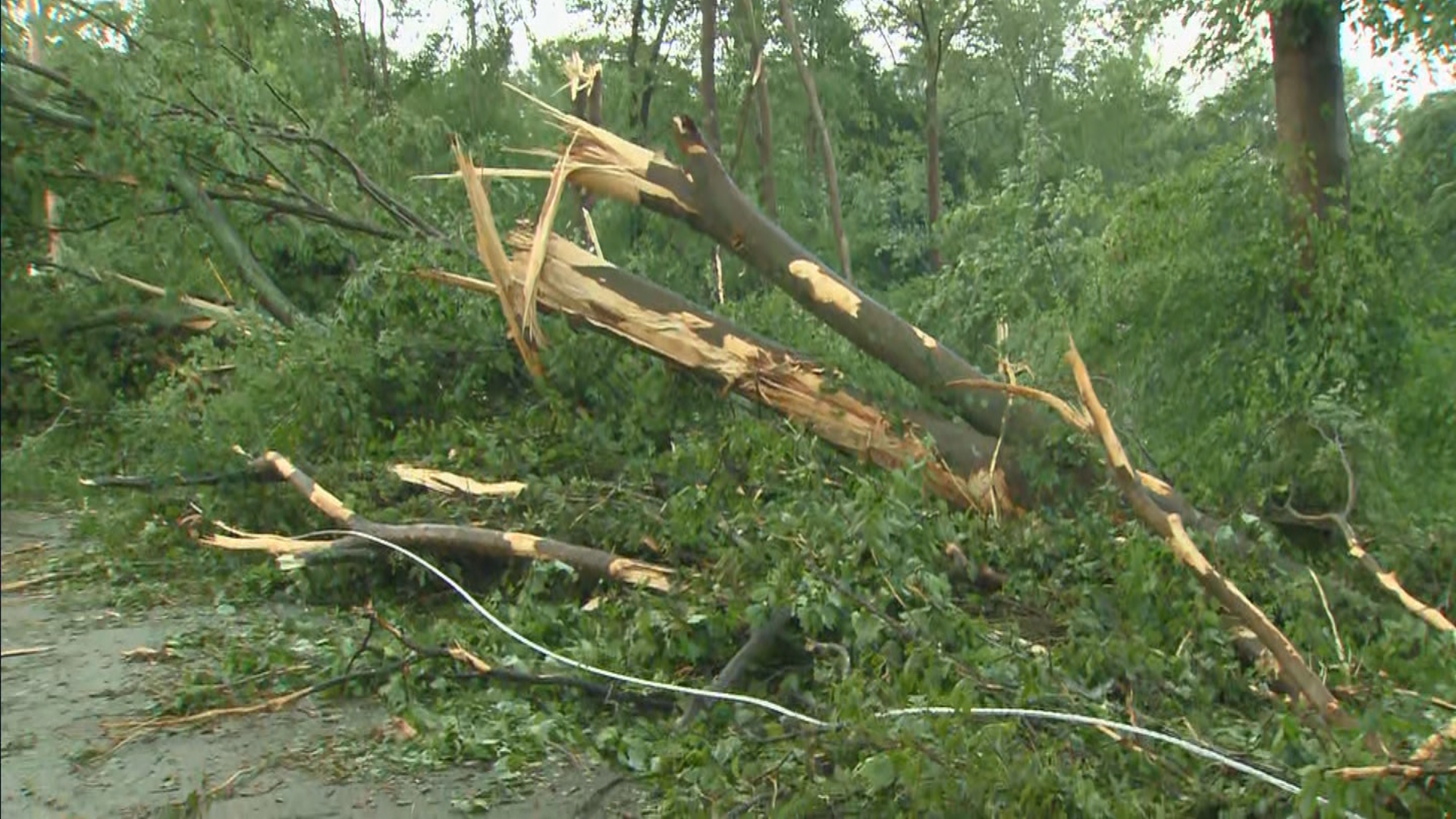 Tornadoes Strike Jackson and Monroe Counties, Indiana