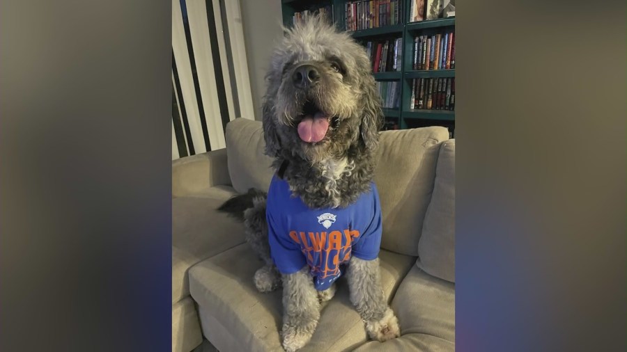 LAPD Dog Shooting Sparks Community Outrage