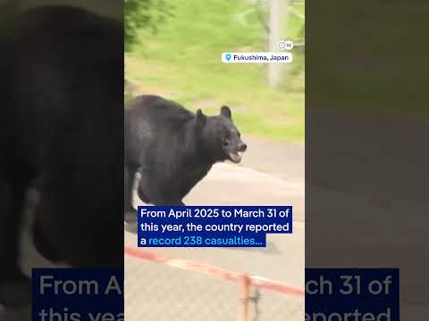 Japan’s New School Safety Drills for Bear Encounters