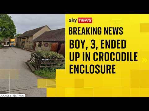 Crocodile Enclosure Incident Leaves Toddler Critical