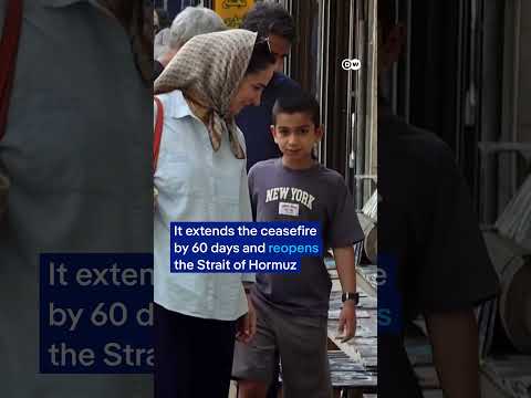 Iranians React to US-Iran Interim Agreement | DW News