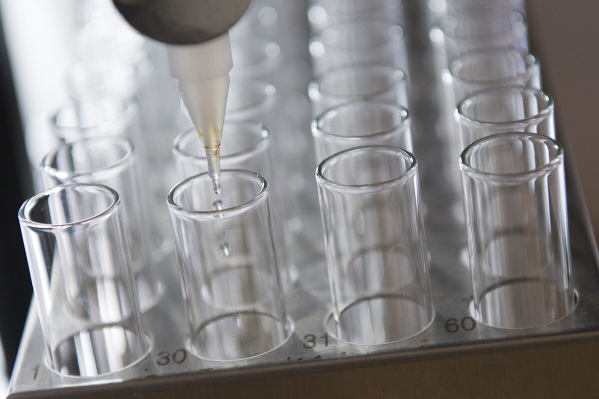 US Investigates Germany Over Pharma Pricing Tariffs