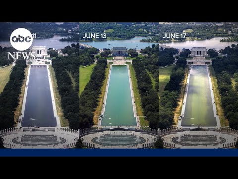 Reflecting Pool Issues Arise After $15M Renovation