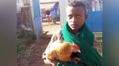 12-Year-Old’s Love for Sick Chicken Moves Hearts