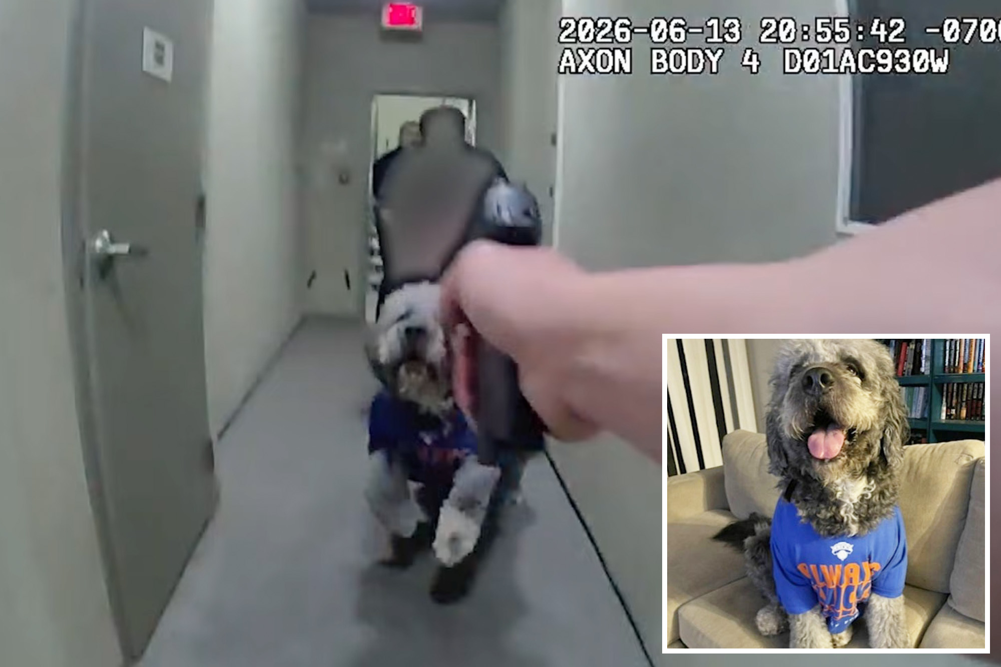 LAPD Dog Shooting Sparks Outrage and Calls for Change