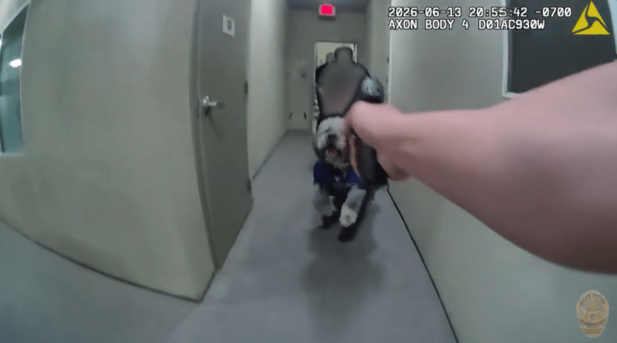 LAPD Releases Body Cam Footage of Dog Shooting