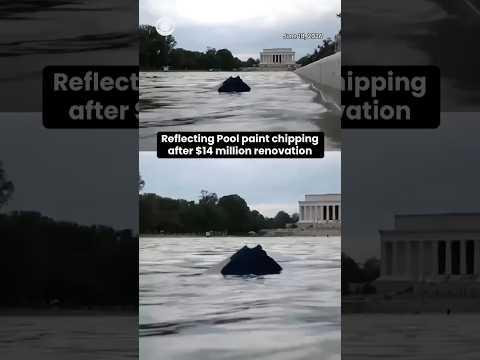 Reflecting Pool Paint Chipping Post $14 Million Renovation
