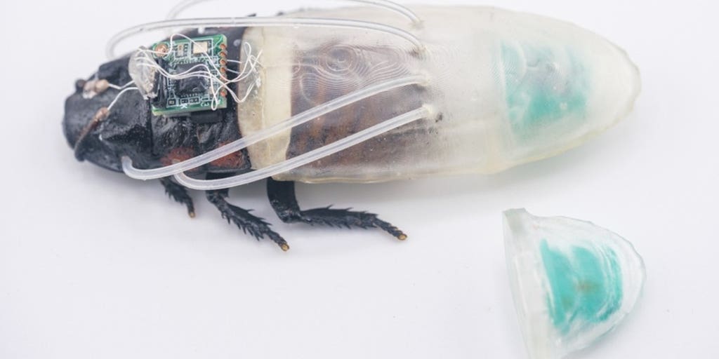 Rescue robot of tomorrow may be a cockroach in scuba suit