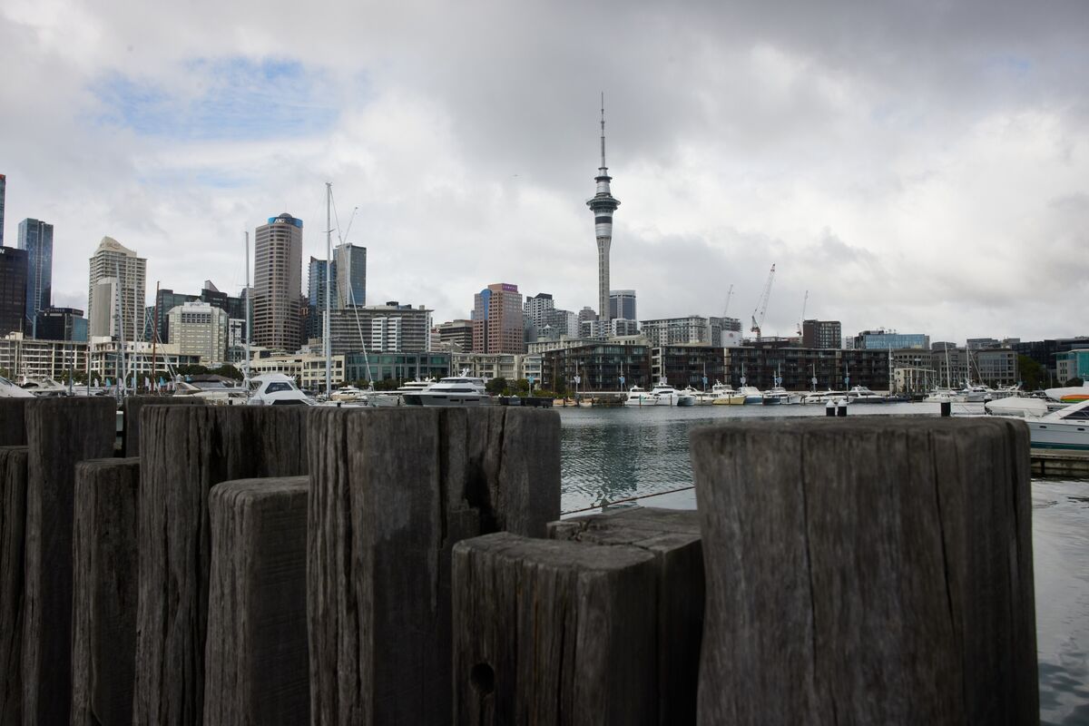 New Zealand Business Confidence Recovered as Iran War Subsided