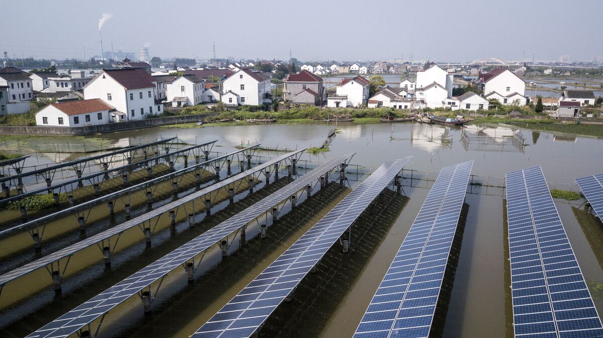 China’s Green-Tech Exports Surge on Energy Transition Demand