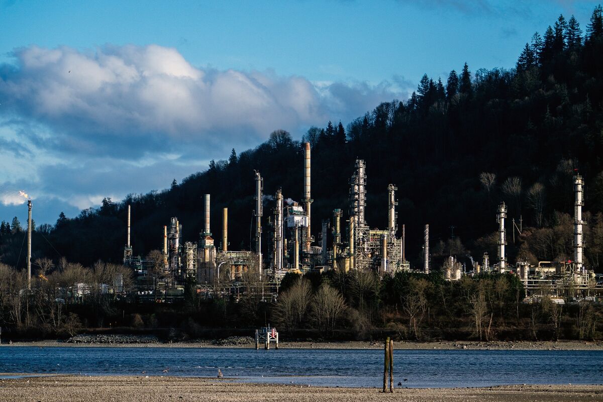 Bank of Canada Surveys Show War Boosted Inflation Expectations, Investment