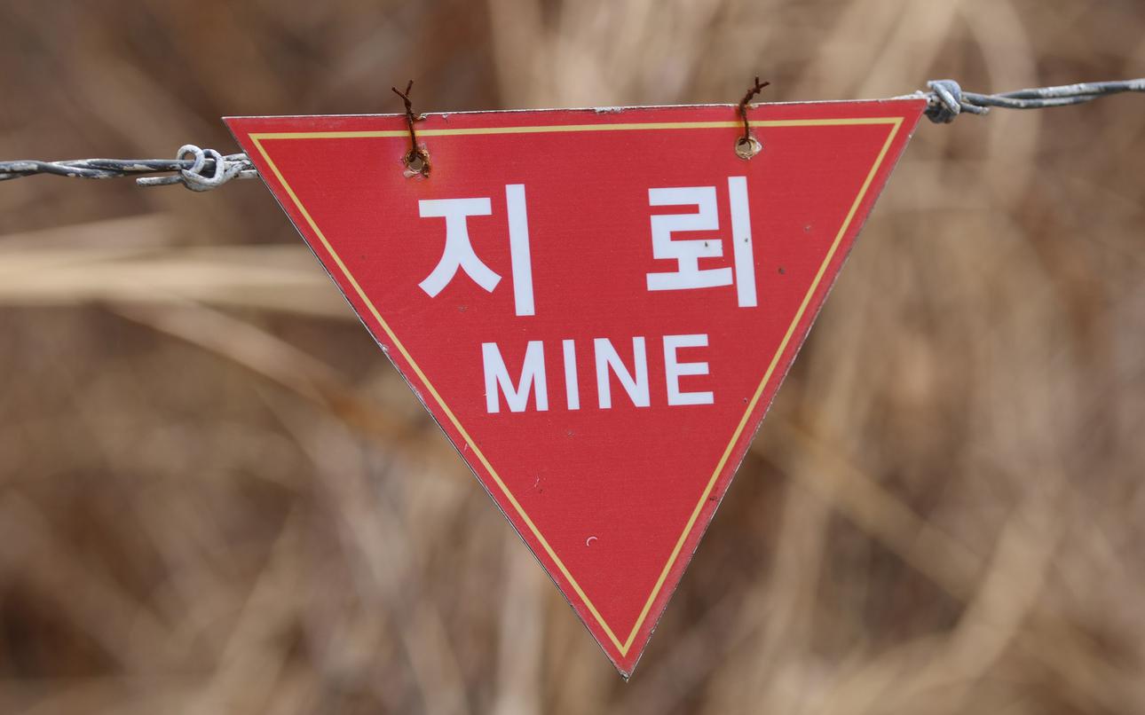 North Korean land mines likely flowed south with runoff from monsoon rains